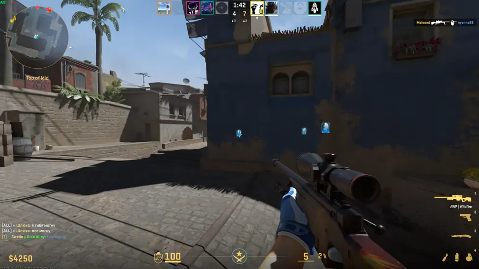 CS2 cheat price: monthly vs lifetime plans explained